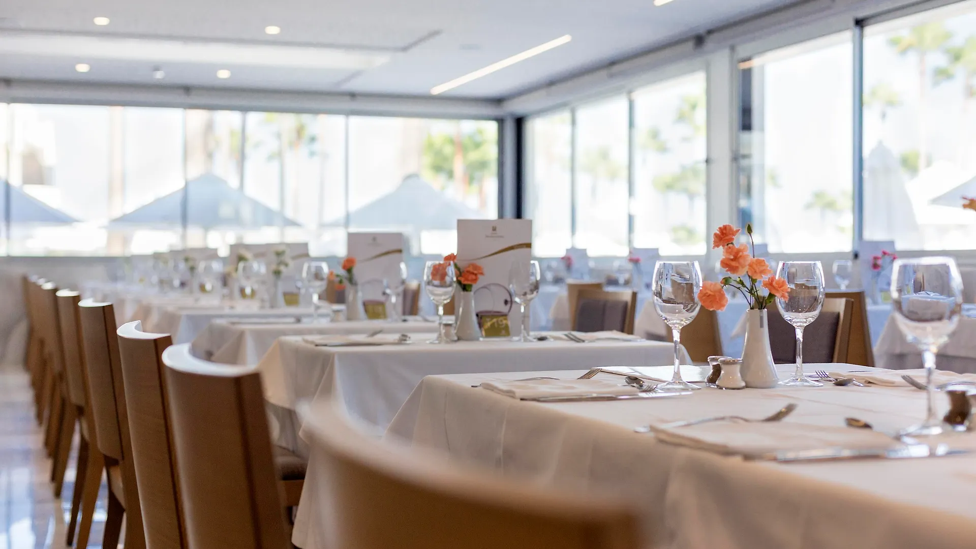 Hipotels Mediterraneo Hotel - Adults Only Sa Coma  Sa Coma (Mallorca)